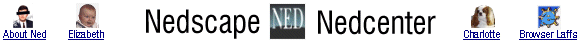 Nedscape Nedcenter